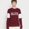 Wholesale 🧨 Hollister Co. SECONDARY CORE LOGO - Sweatshirt - Burg 🌟