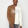 Promo 😉 Hollister Co. RELAXED FIT VINTAGE BASICS CREW - Sweatshirt - Tan ❤️