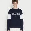 Promo 😉 Hollister Co. SECONDARY CORE LOGO - Sweatshirt - Navy 🌟